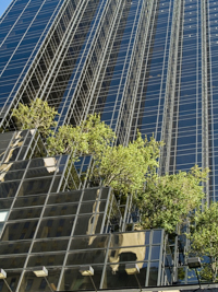 Greener, Greater Benchmarking - Building in New York City